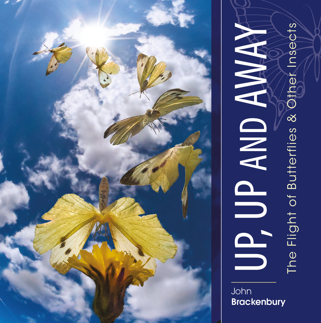 Up, Up and Away: The Flight of Butterflies and other Insects - John Brackenbury